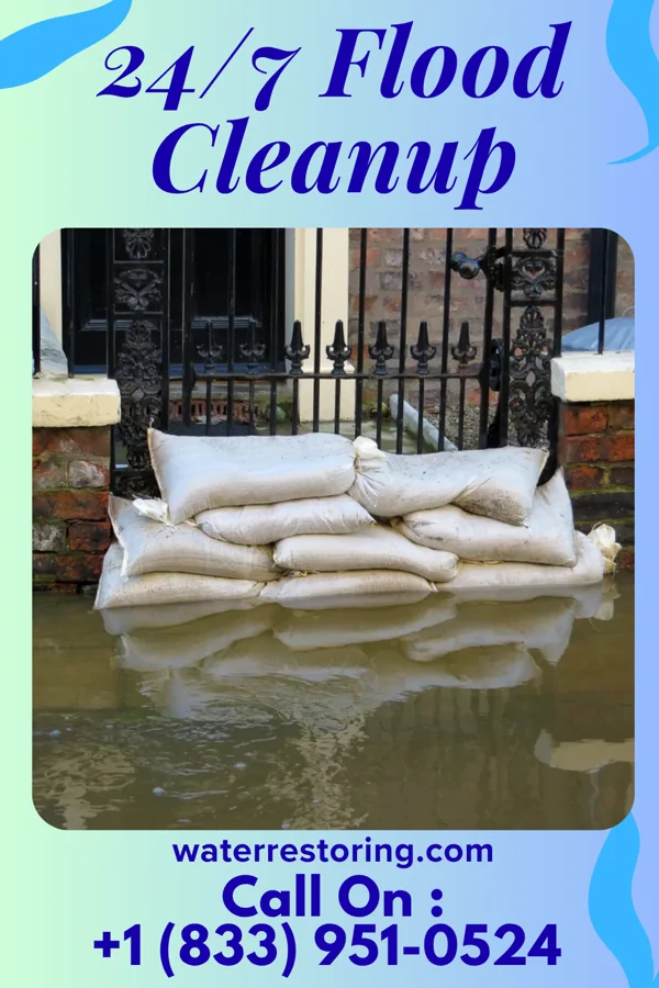 24/7 Flood Cleanup in Mallow, VA