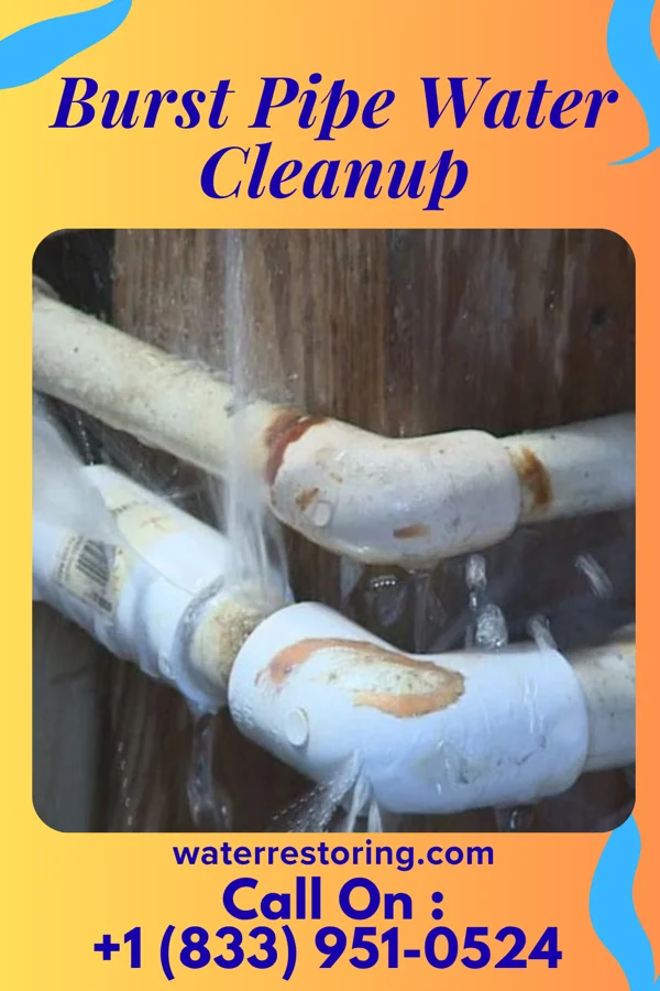 Burst Pipe Water Cleanup in Mallow, VA