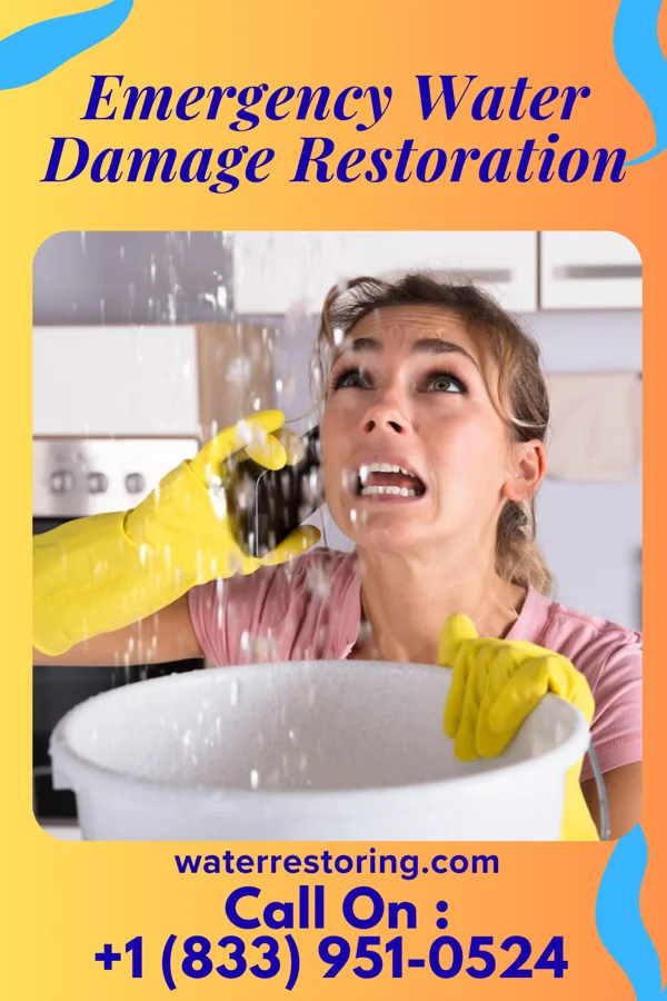Emergency Water Damage Restoration in Mallow, VA