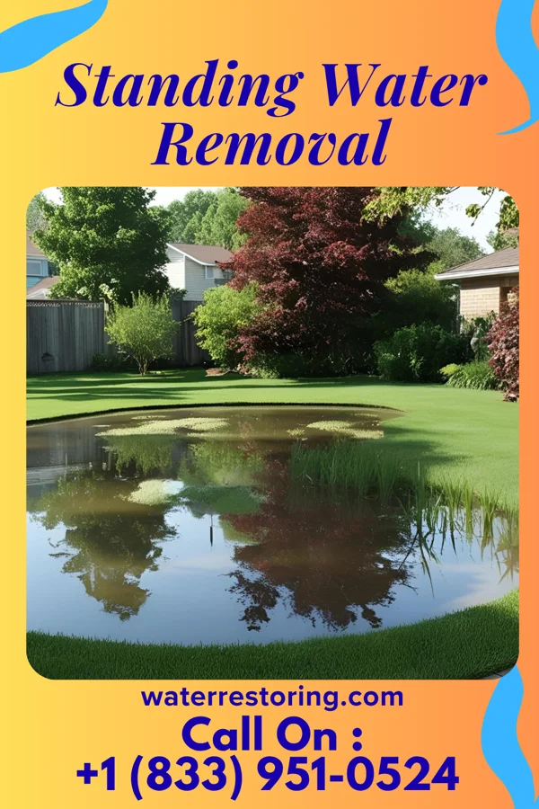 Standing Water Removal in Mallow, VA